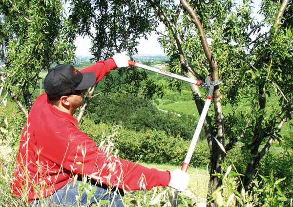 Сучкорез LISAM TYTRON