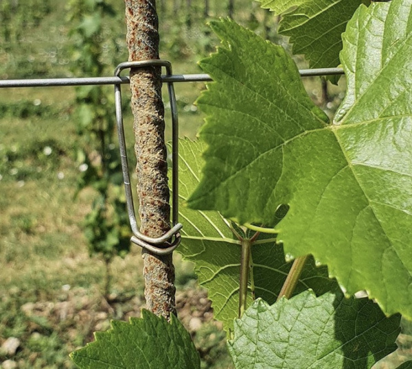 Фиксатор для индивидуальной опоры 6/10